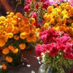 Precio Flores Día de Muertos